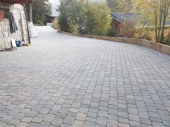 Allée pavée bordée d'un muret, menant vers des arbres et des bâtiments dans un cadre naturel.