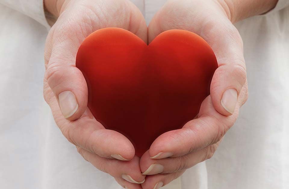 Kuvassa on kädet, jotka pitelevät punaista sydäntä.