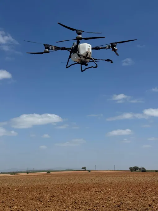Un dron sobrevolando un campo de cultivo seco bajo un cielo azul.