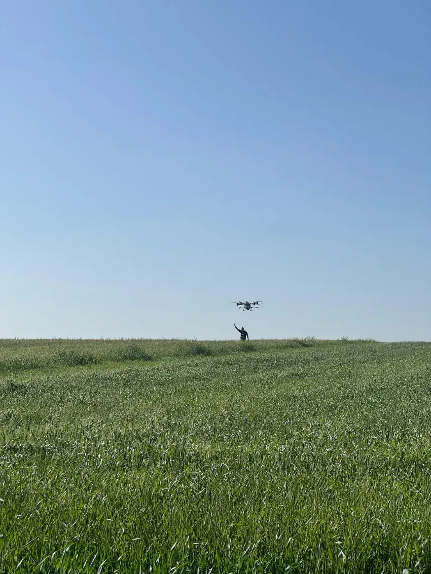 Un dron sobrevolando un campo de hierba verde bajo un cielo azul despejado.