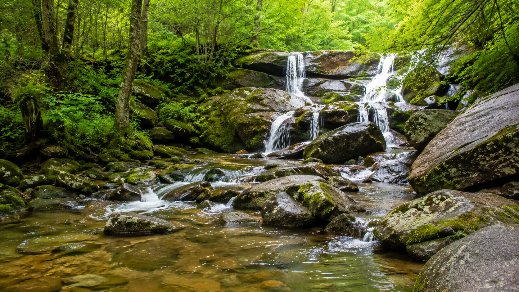 Small waterfall flowing over mossy rocks in a lush green forest stream.