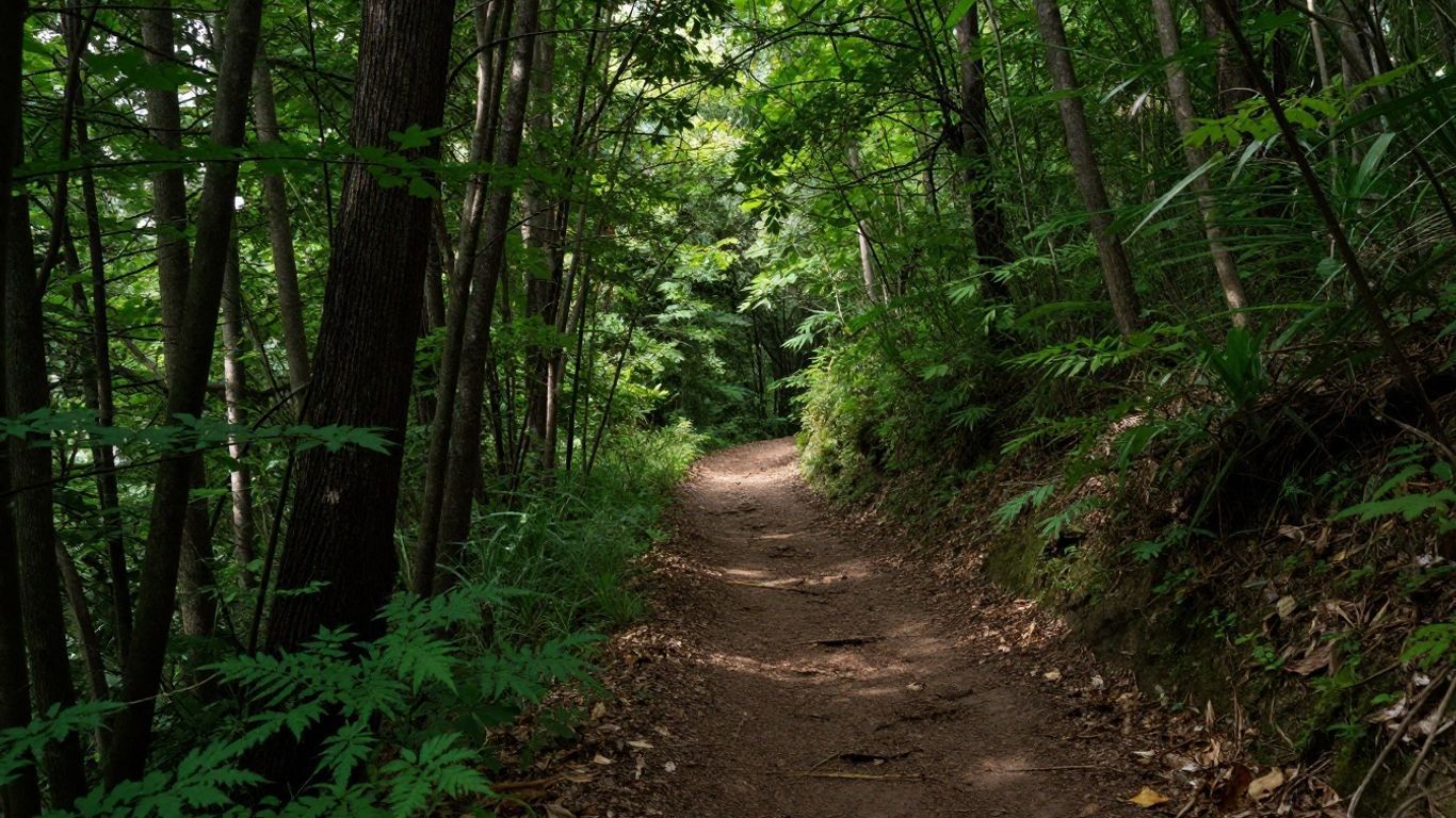 Wooded trail winding through a lush green forest in soft daylight