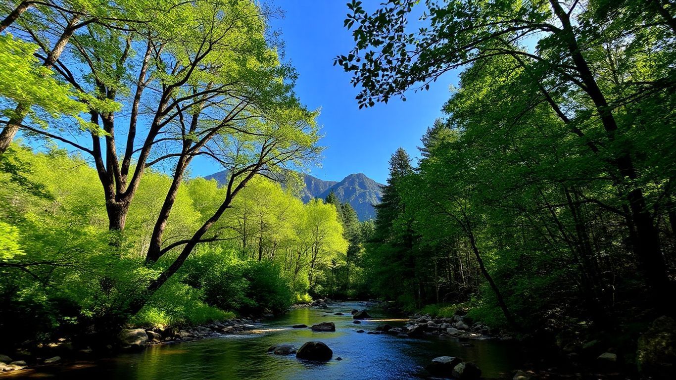 Sunlit forest stream with green trees and mountains under a bright blue sky