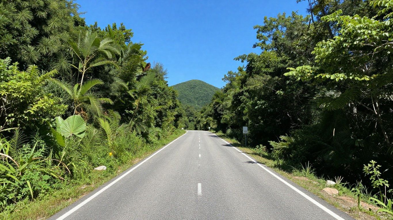 Empty two-lane road through lush green forest, leading toward a distant mountain under a clear sky