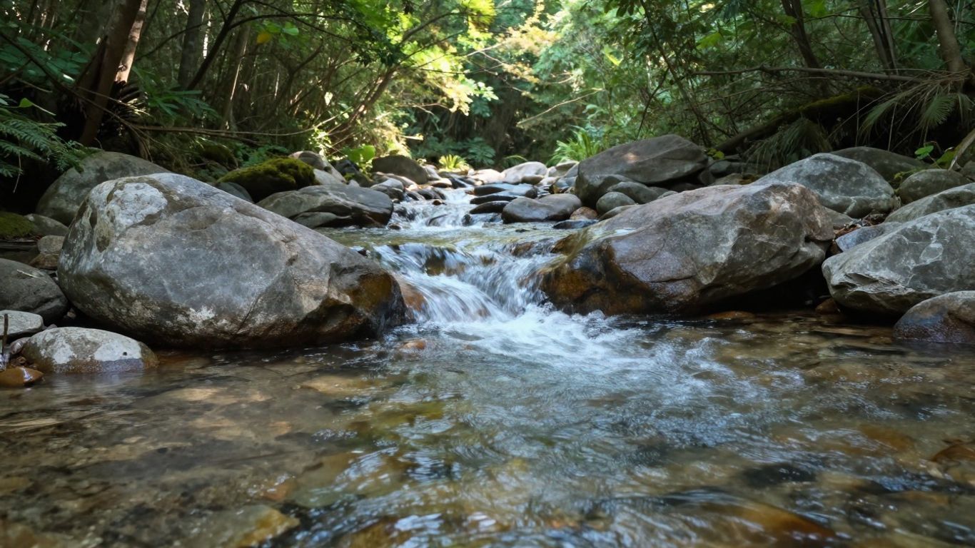 Forest stream flowing over rocks under green trees