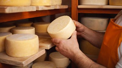 Des mains tenant un fromage rond. Des meules de fromage sur des étagères en bois dans une réserve.