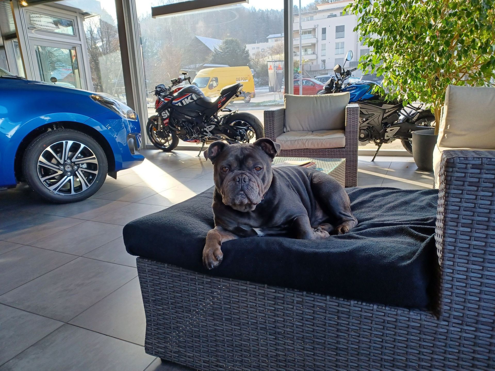 Garage & Carrosserie Blättler AG