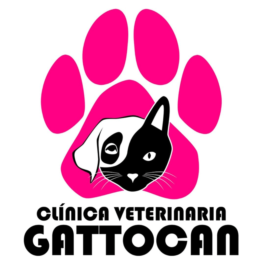 Clínica Veterinaria Gattocan