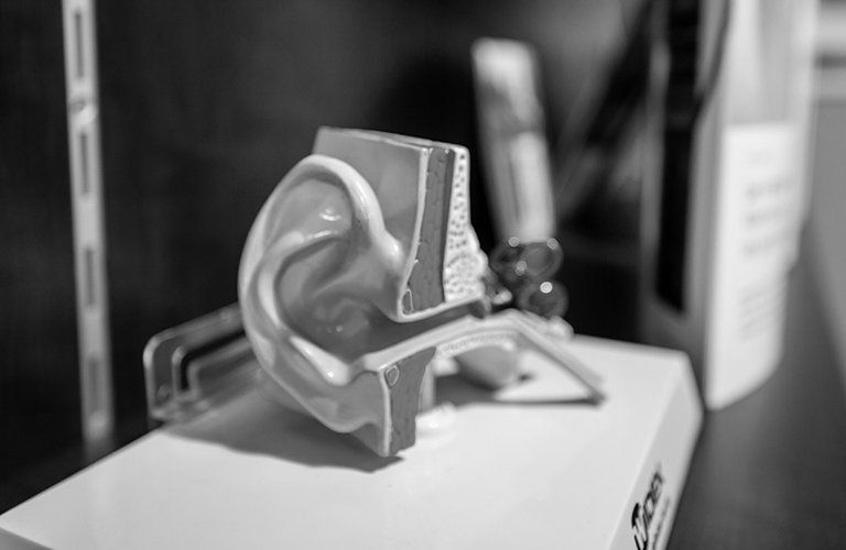 Modélisation de l'oreille