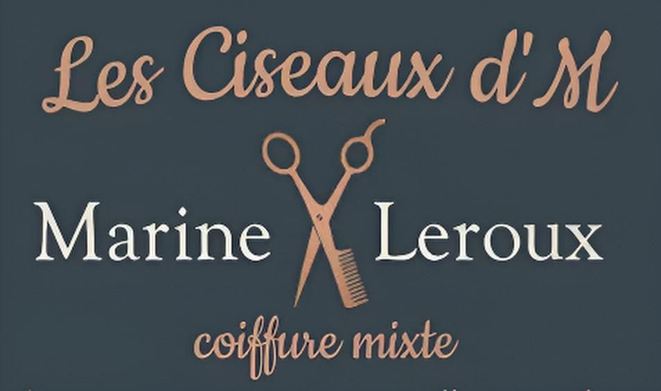 Logo de Les Ciseaux D'M.