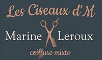 Logo de Les Ciseaux D'M.