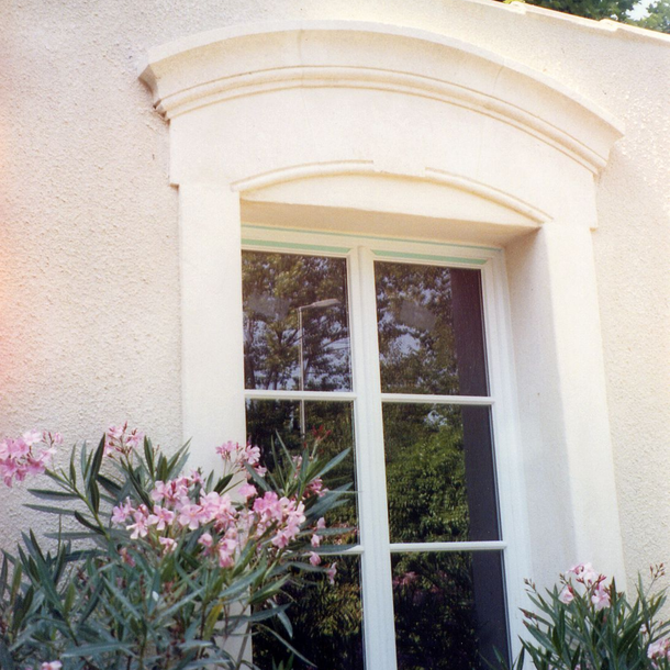 Fenêtre cintrée blanche avec verre réfléchissant et arbustes à fleurs roses devant