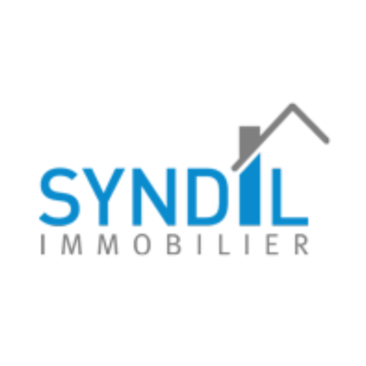 Logo de Syndil