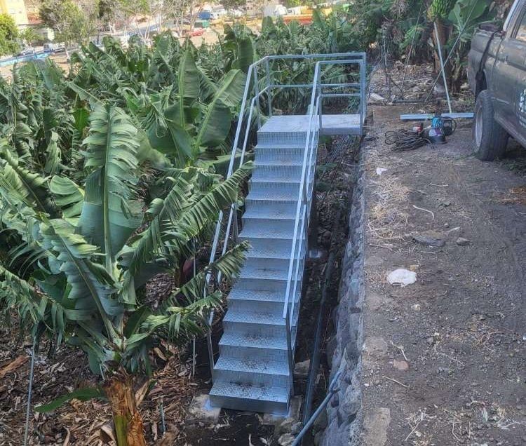 Un conjunto de escaleras que conducen a una plantación de plátanos.