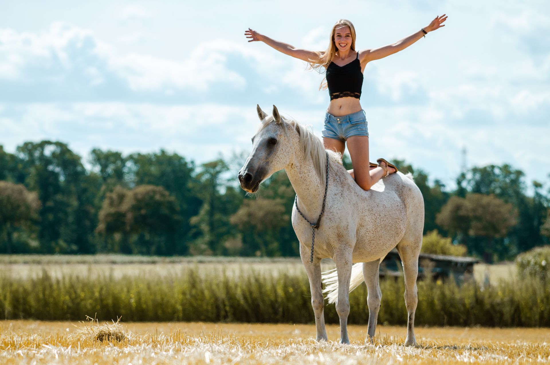 Eine Frau reitet auf dem Rücken eines weißen Pferdes auf einem Feld.