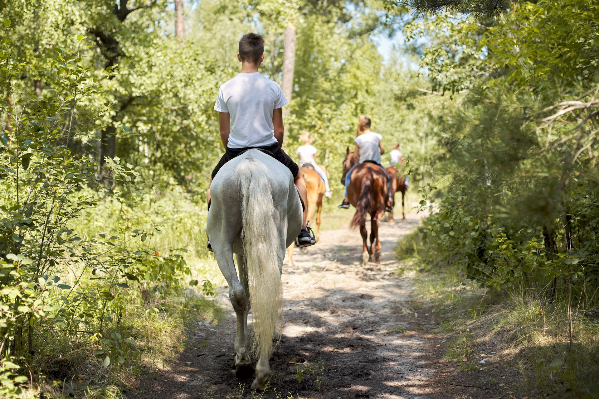 Eine Gruppe von Menschen reitet auf Pferden einen Feldweg im Wald entlang.