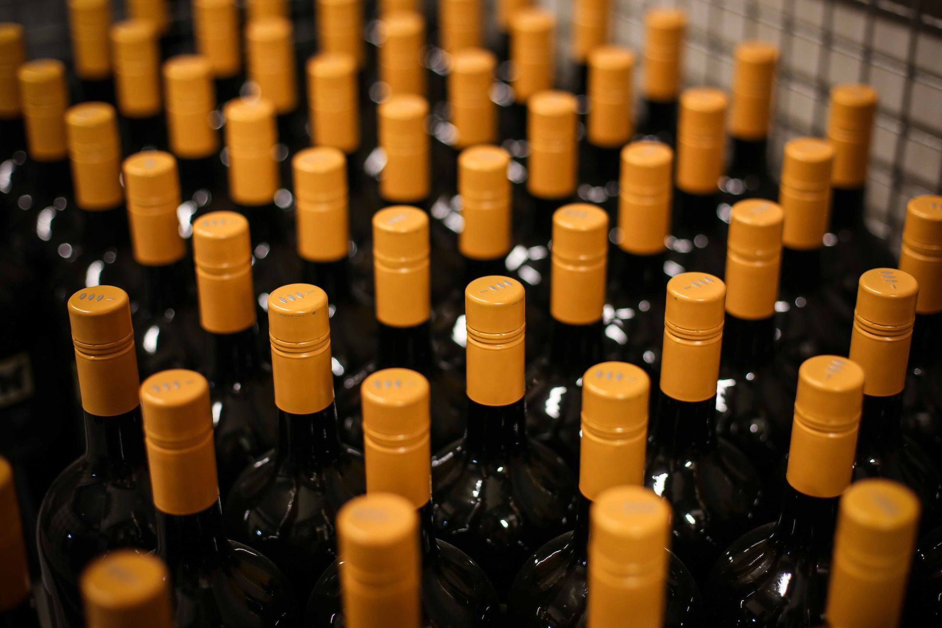 Cave des Bernunes - white wines- Sierre - Valais