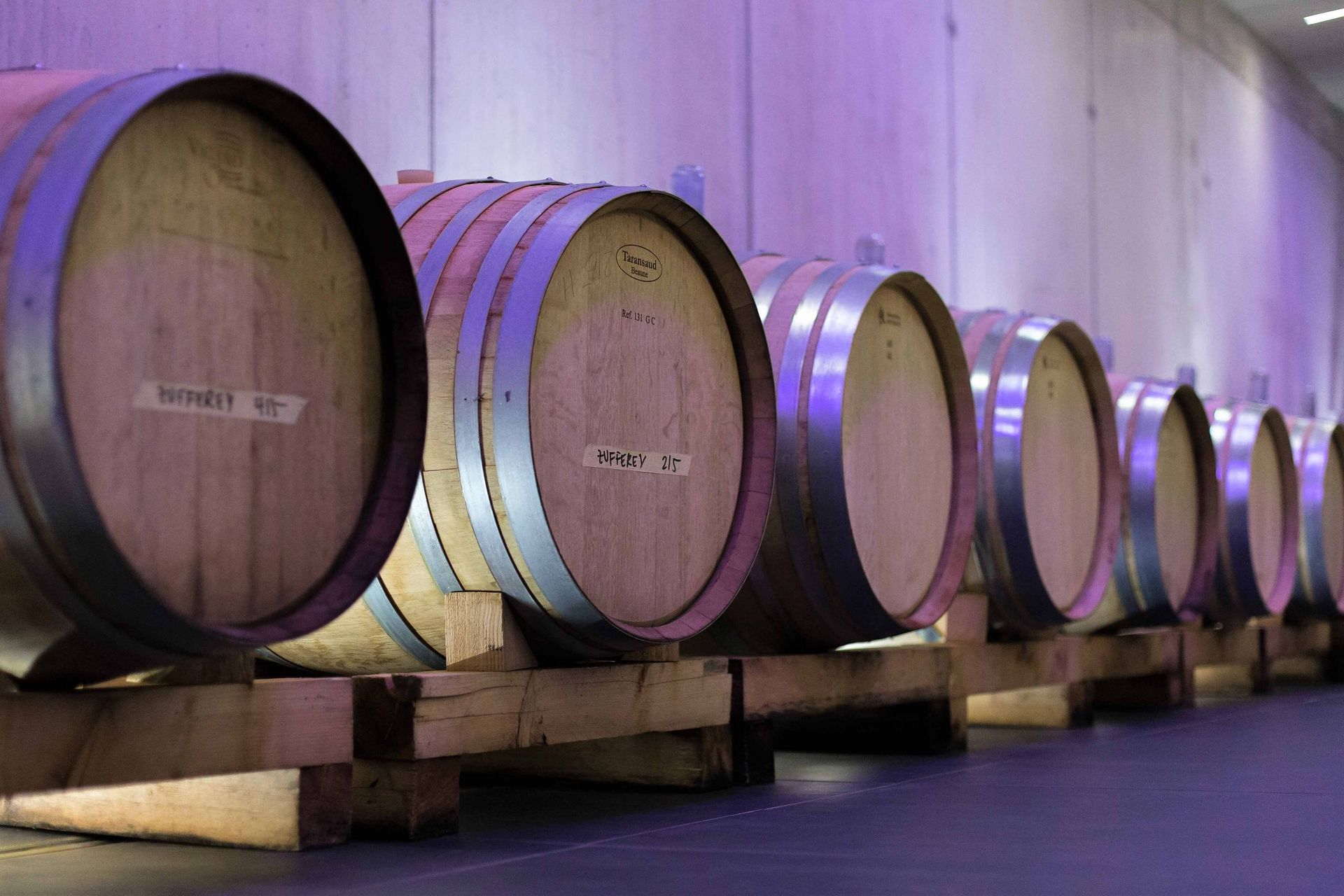 Cave des Bernunes - Ageing in oak barrels - Sierre - Valais