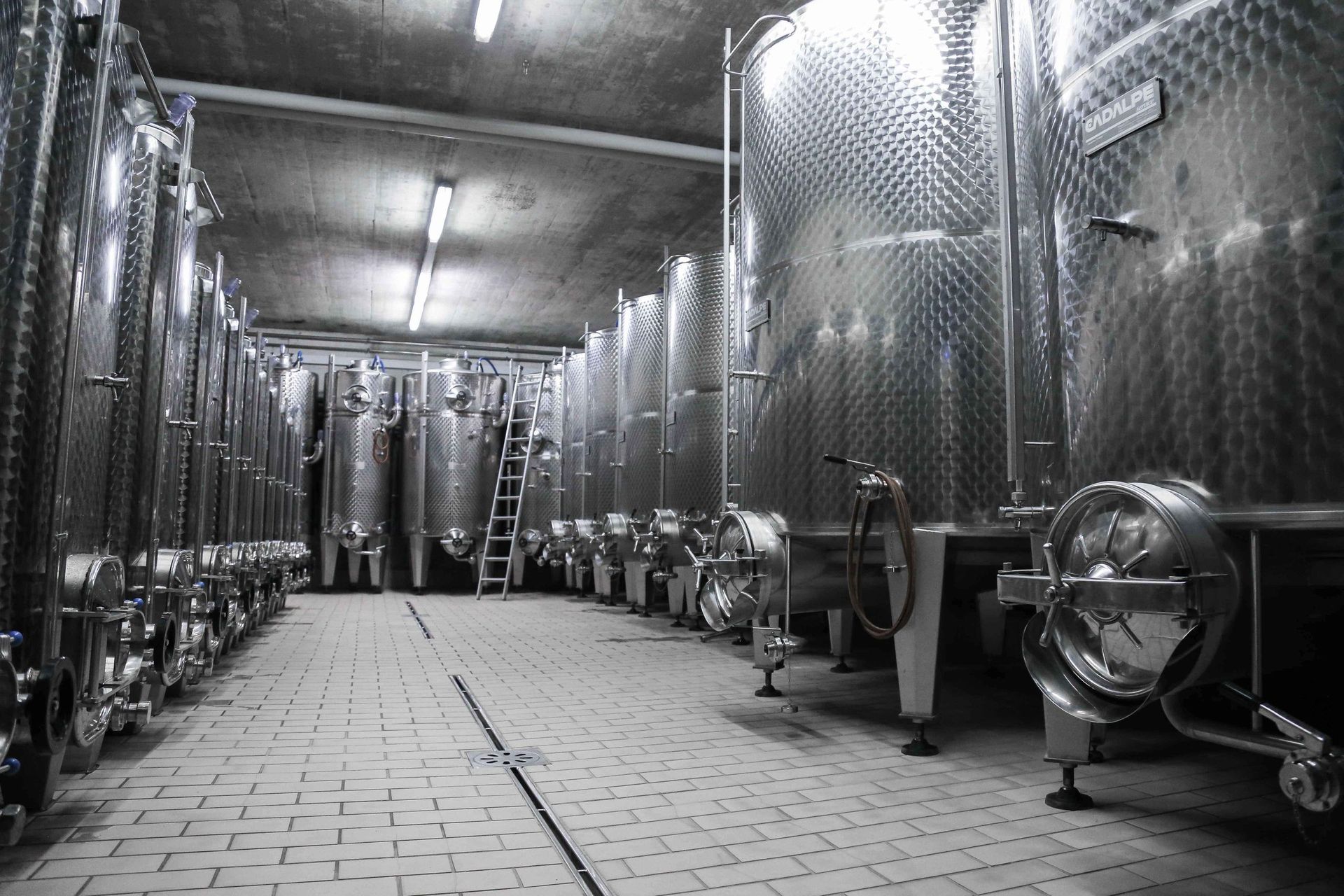 Cave des Bernunes - winemaking process- Sierre - Valais