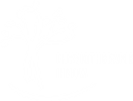 Physiotherapie Ihnow-logo