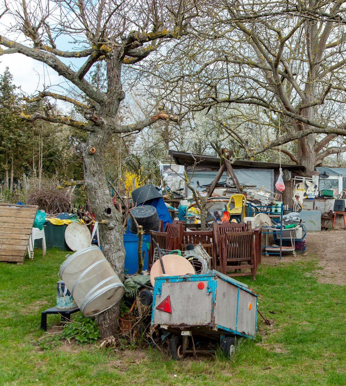 Arrière-cour encombrée de déchets : vieille remorque, barils, chaises et autres objets empilés autour d'un arbre.