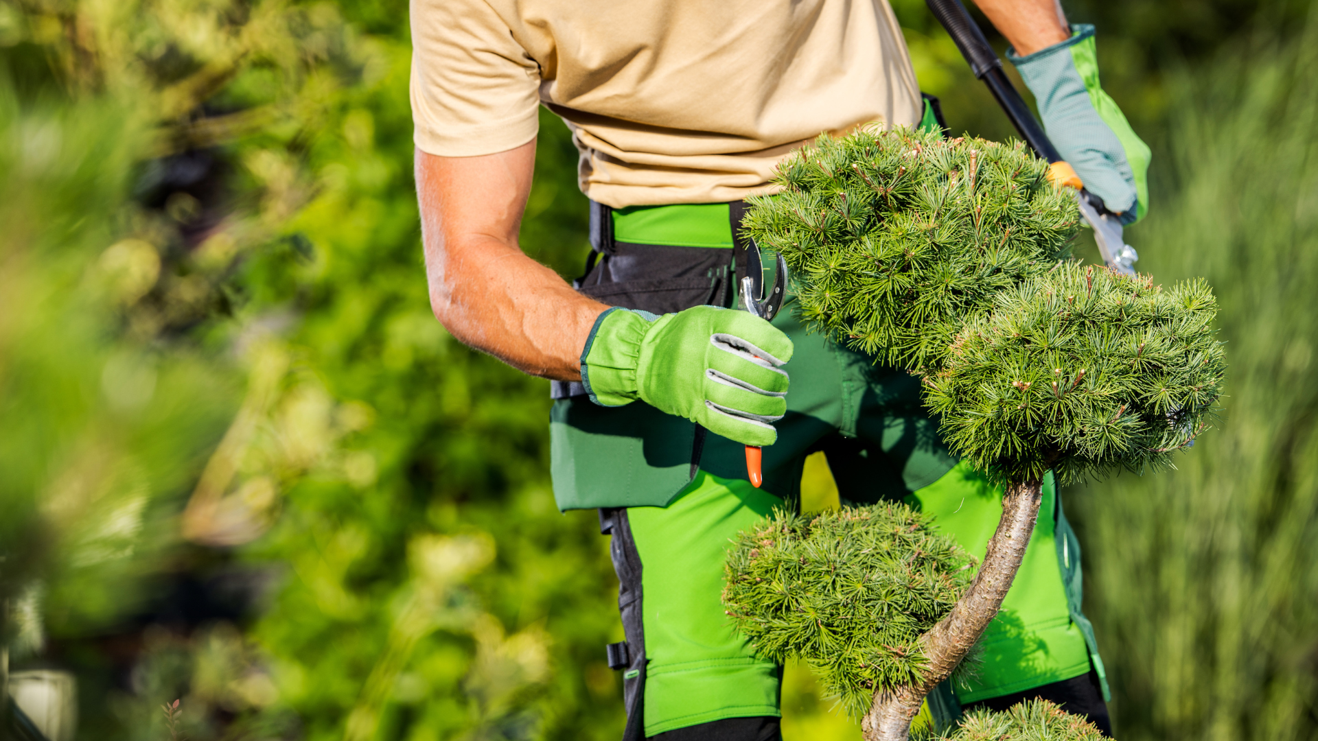 Un jardinier en tenue de travail verte taille un bonsaï avec des cisailles.