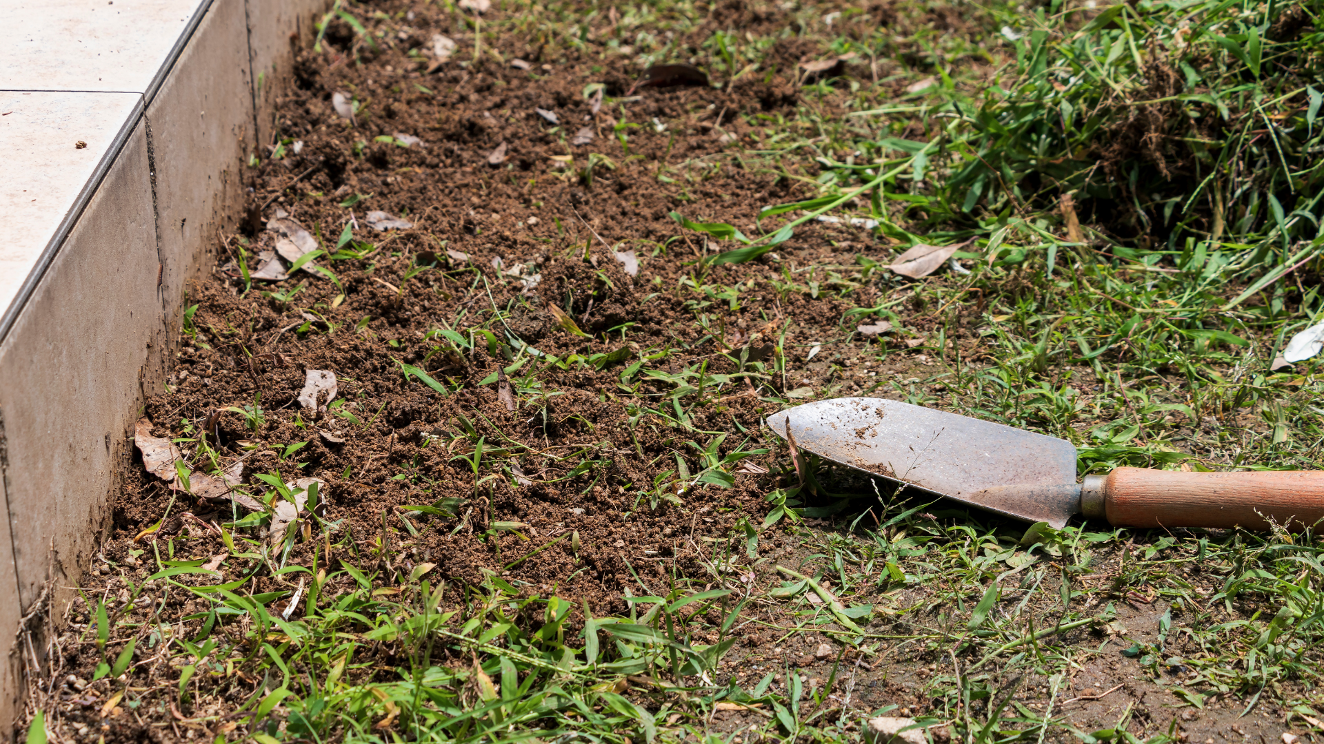 Terre et gazon travaillés à la truelle au bord d'un parterre de jardin.
