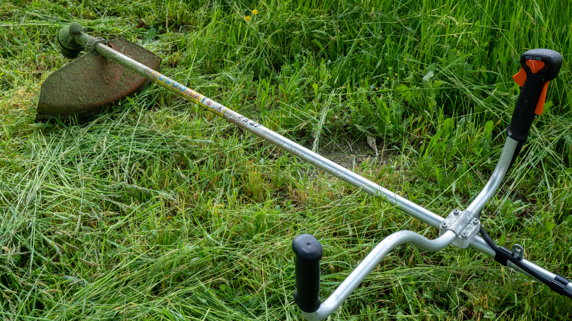 Coupe-bordures posé sur l'herbe verte.