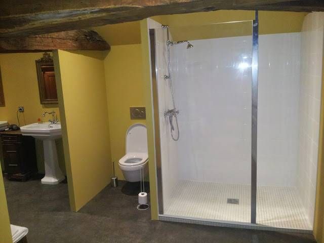 Salle de bains avec cabine de douche vitrée, coin toilettes et lavabo dans une pièce jaune rustique