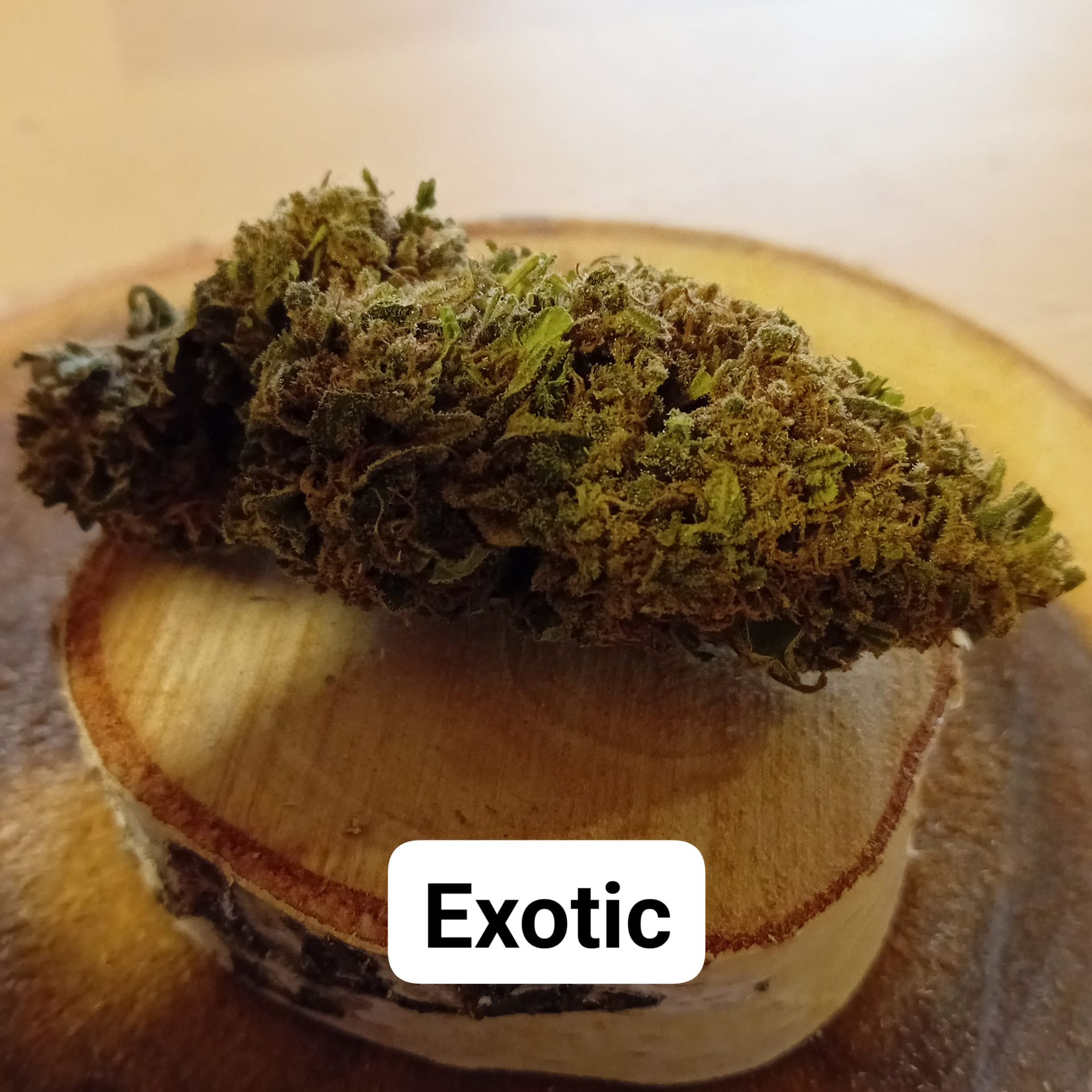 Variété Exotic