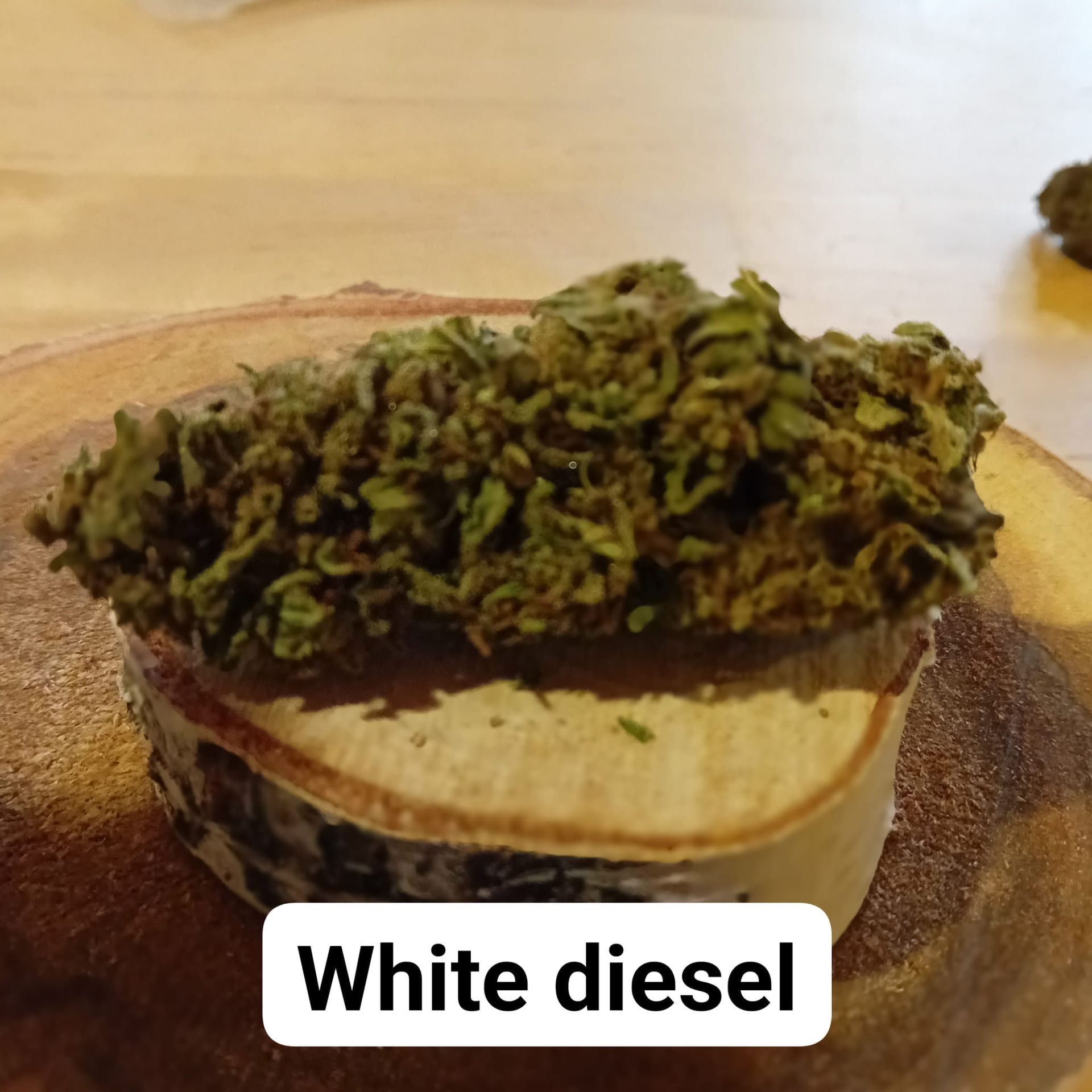 Variété White diesel