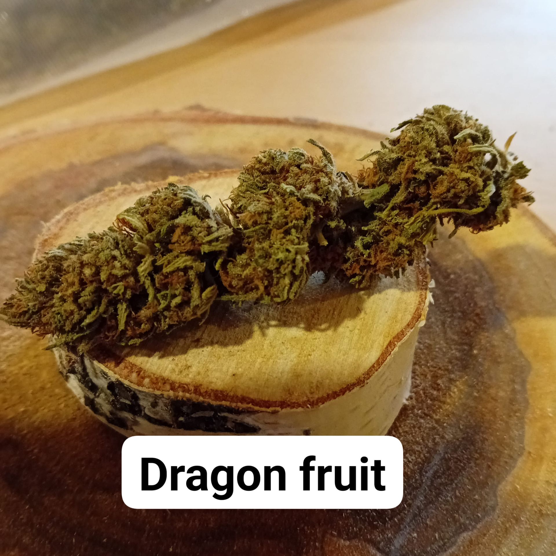 Variété Dragon fruit