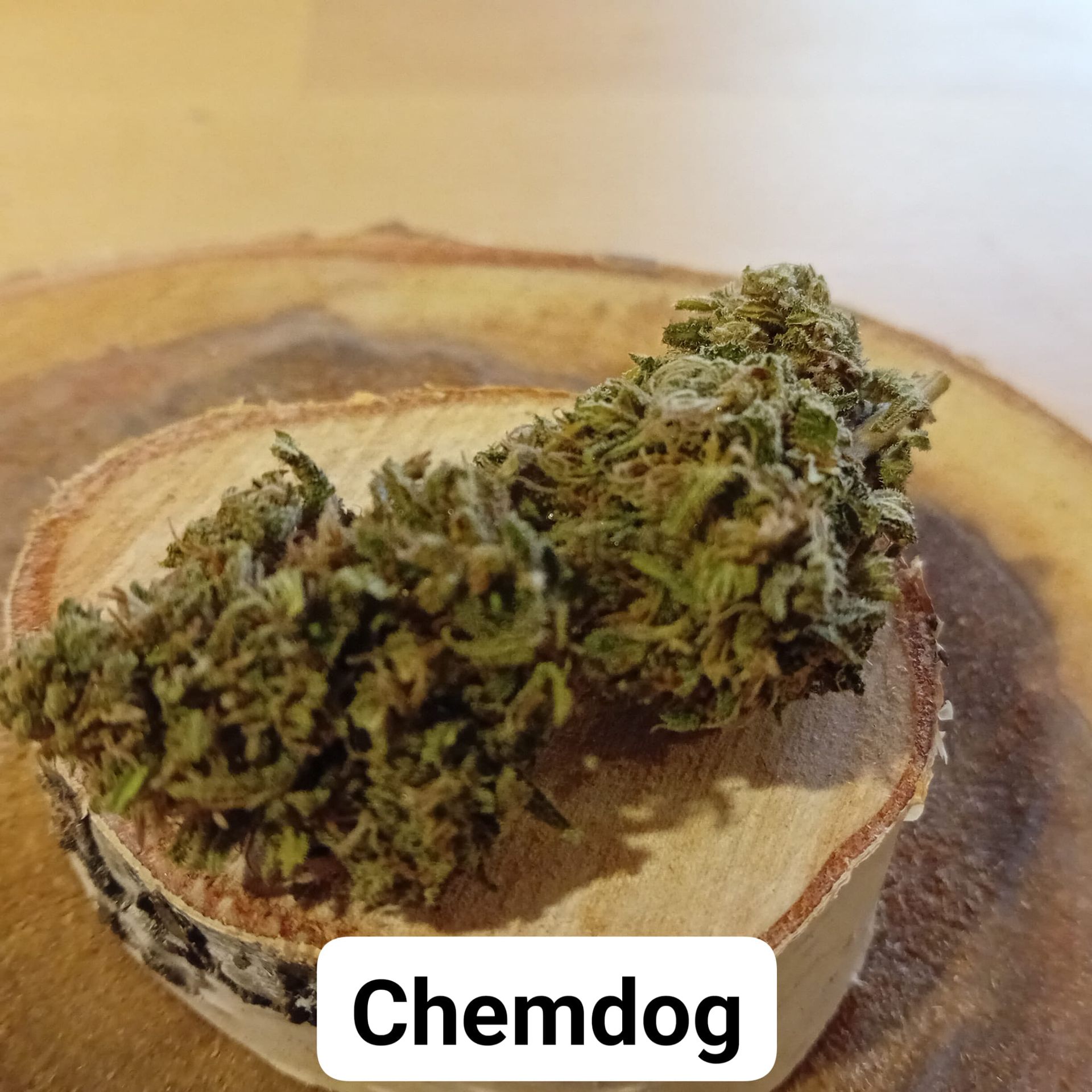 Variété Chemdog
