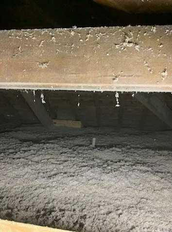 Isolation sous toiture