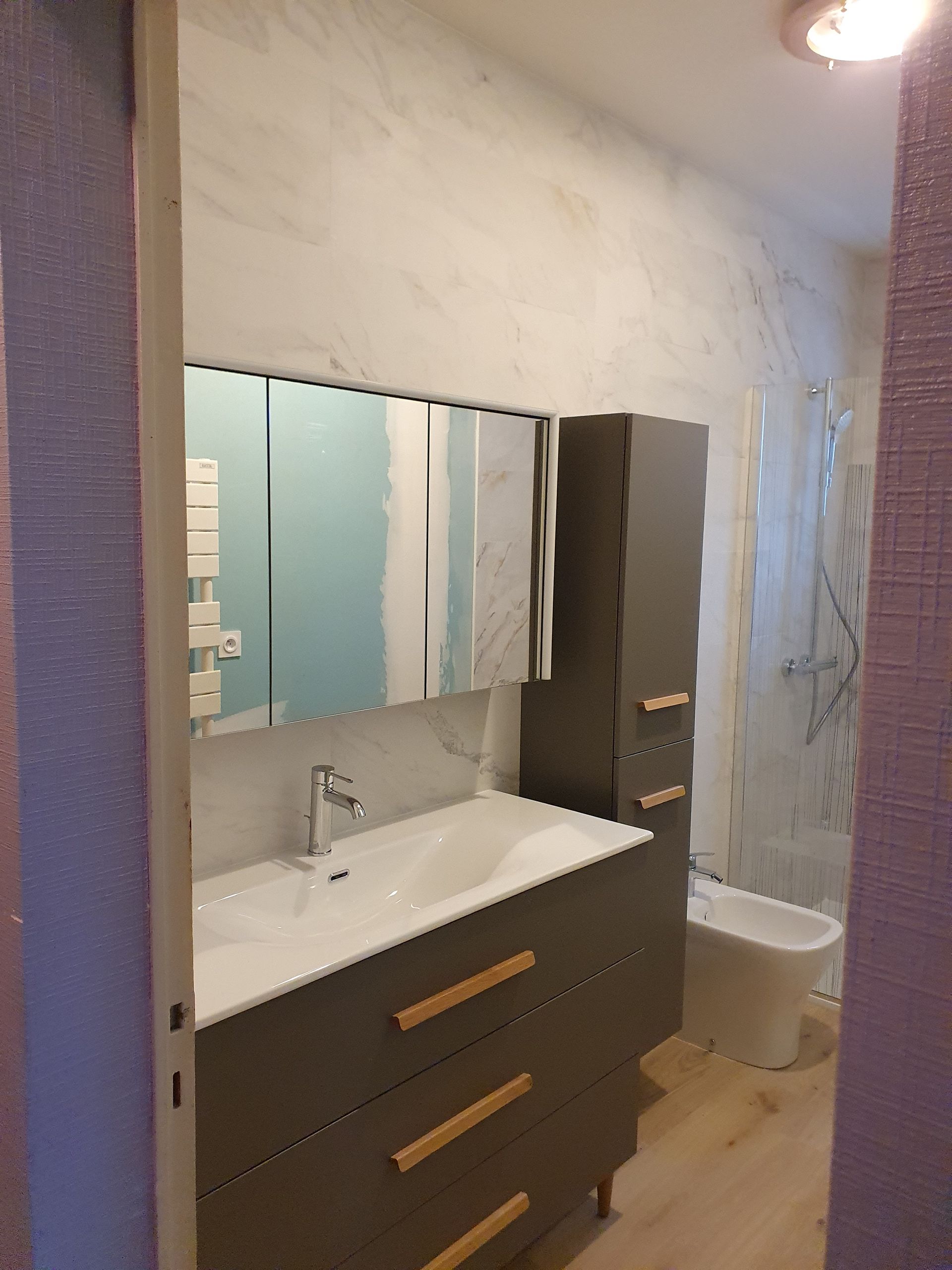 Meuble-lavabo gris avec lavabo, miroir et armoire. Murs et sol clairs. Toilettes et douche visibles.