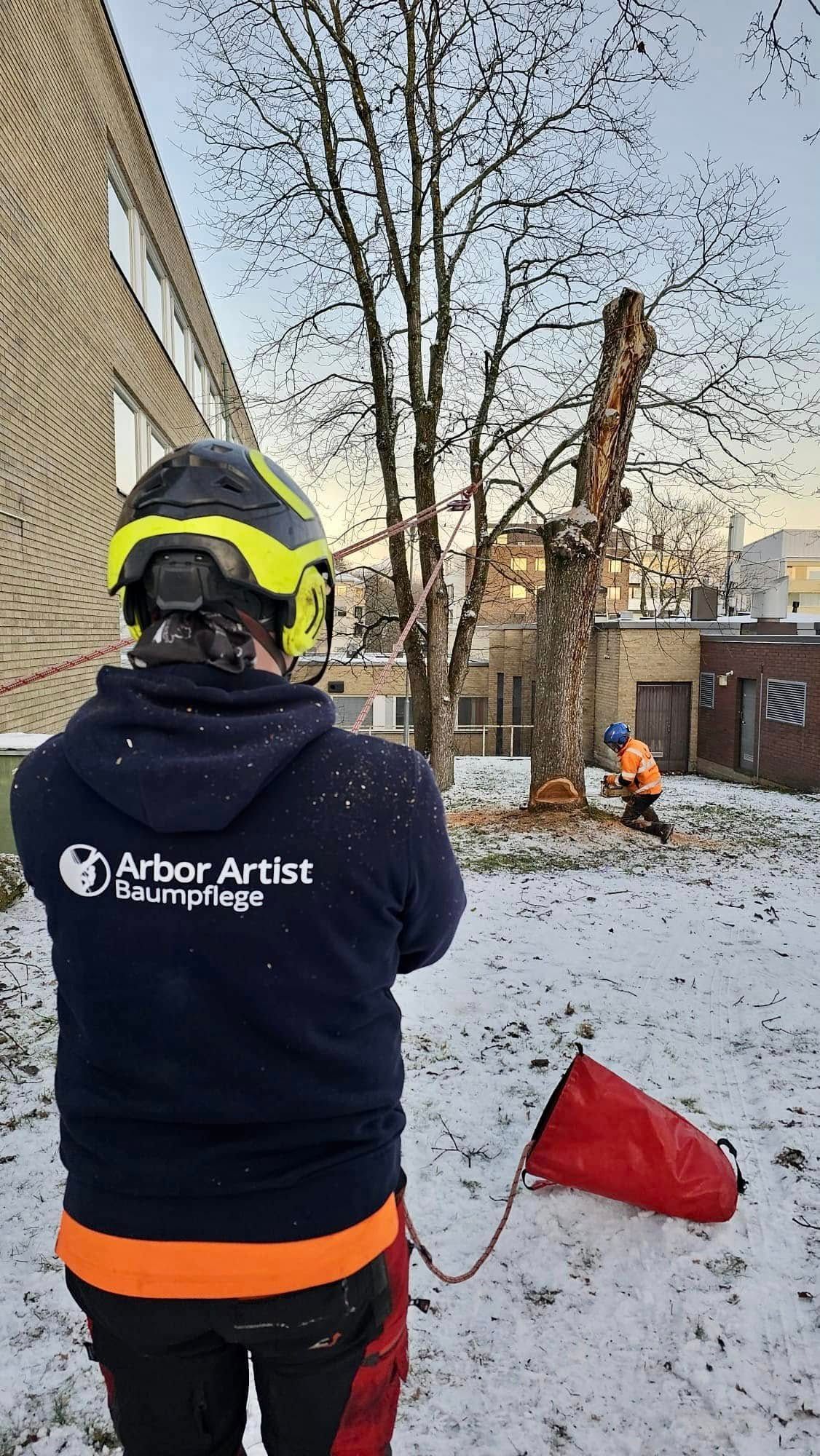 Sertifioidut puunhoidon palvelut Uudenmaan alueella - ArborisTeja