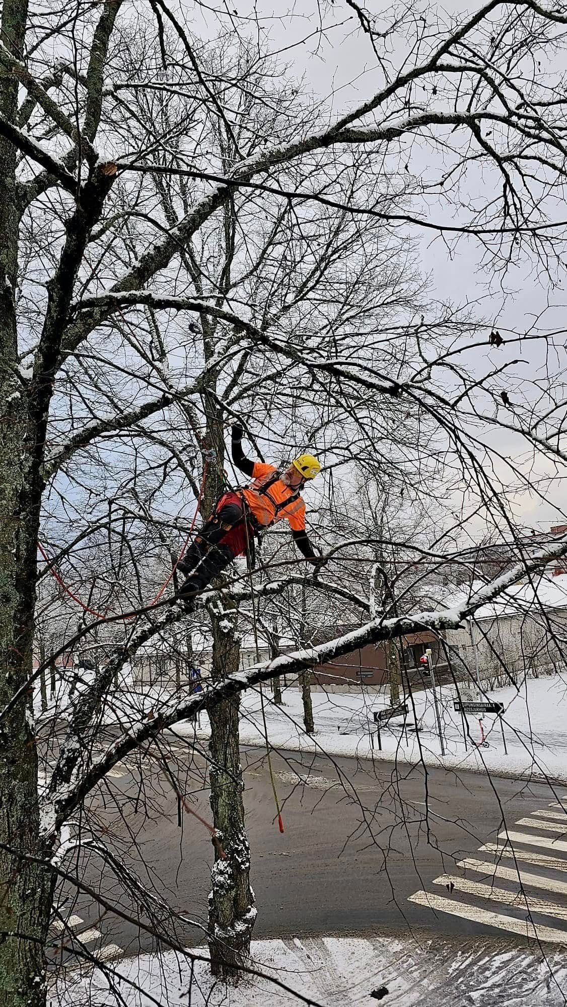 Two workers in orange safety gear trim tree branches beside a snowy street
