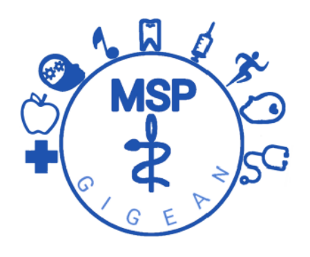 Logo MSP