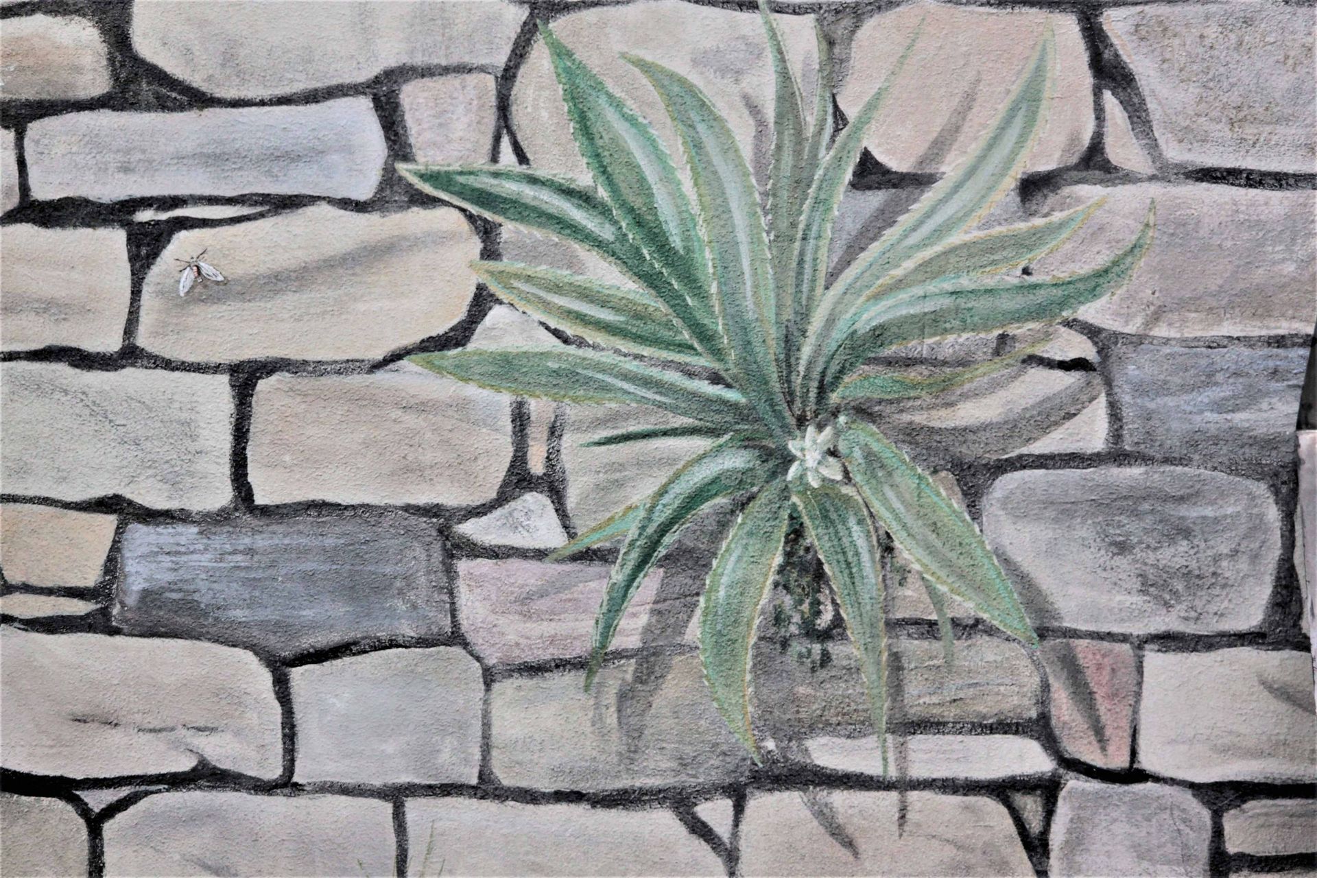 Dekomalerei - Buchrain - Panzeri GmbH