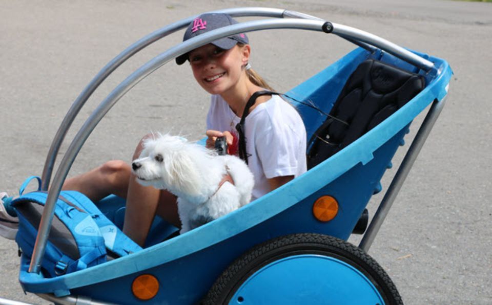 Kind mit Hund im Anhänger, Swiss Erlebnistouren GmbH
