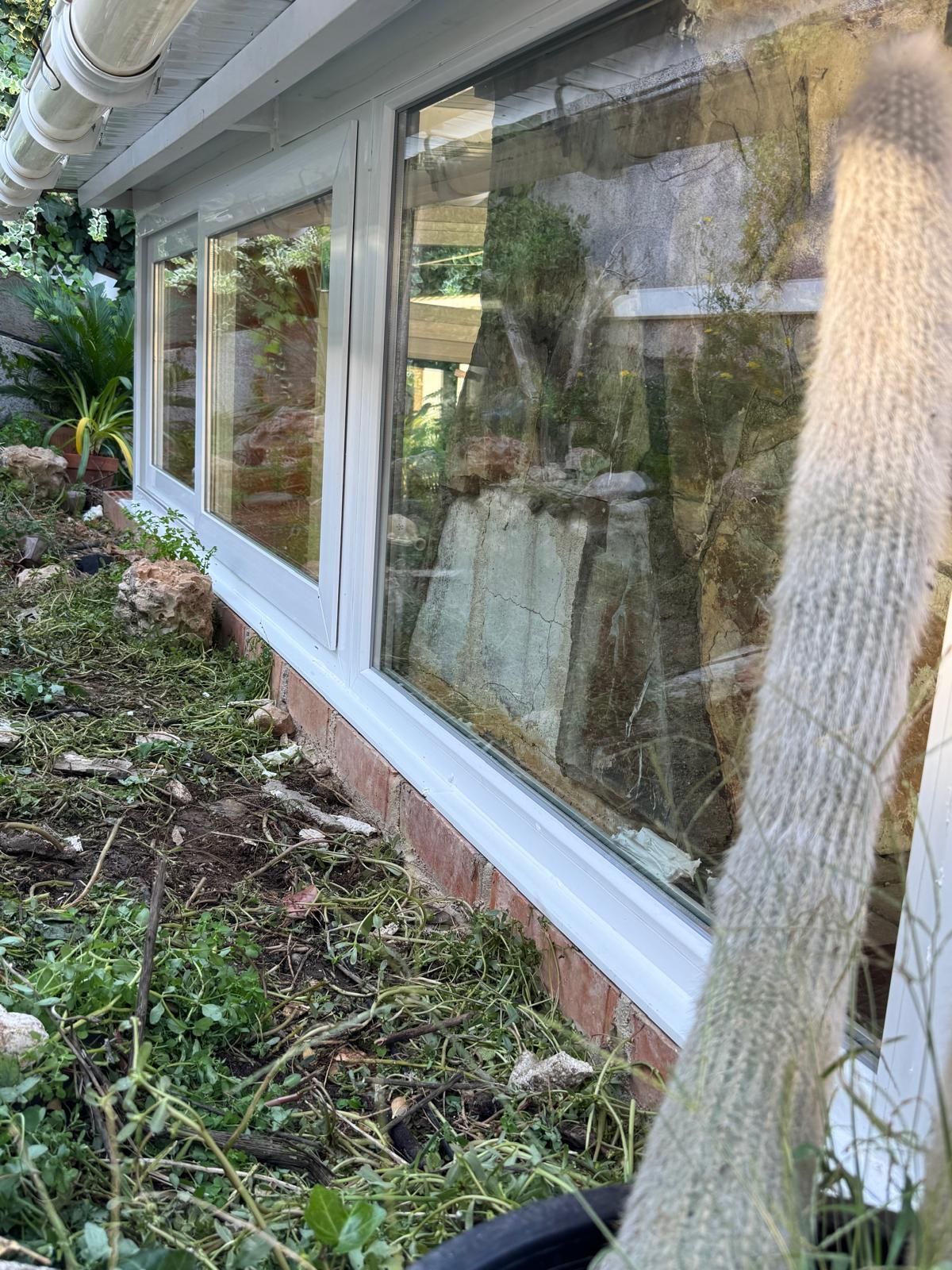 Lateral de una casa con grandes ventanales, plantas que han crecido en exceso y el tronco de un árbol en primer plano.