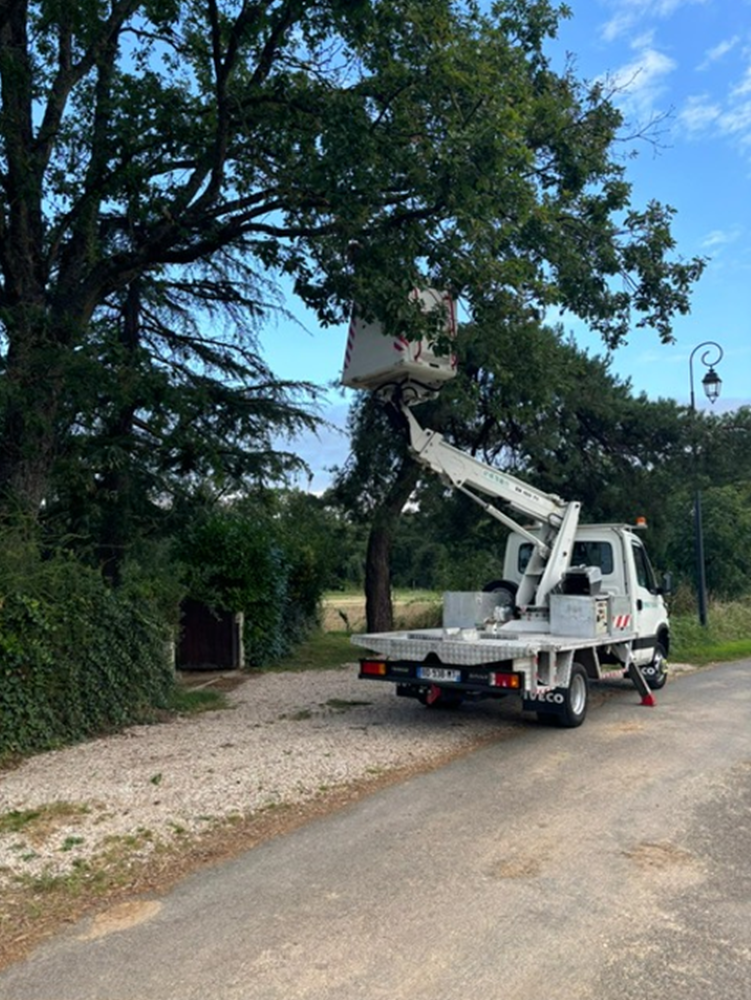 Un camion à nacelle élague des branches d'arbres sur un chemin de gravier, sous un ciel partiellement nuageux.