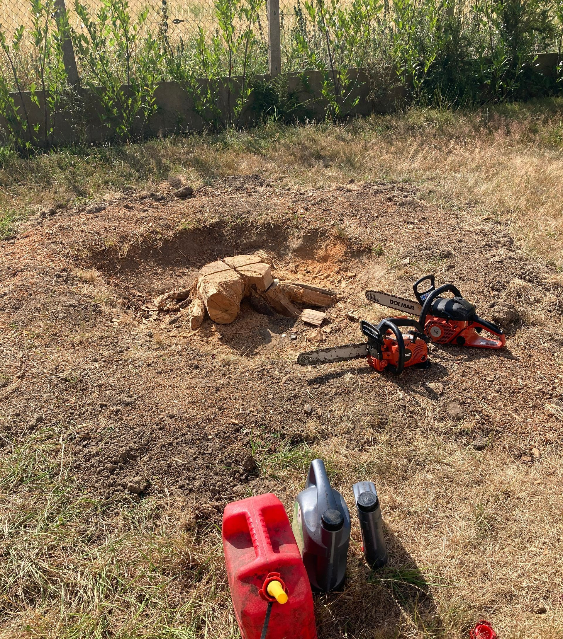 Une souche et deux tronçonneuses gisent au sol. Un bidon d'essence rouge et d'autres outils sont posés à proximité, dans une cour ensoleillée.