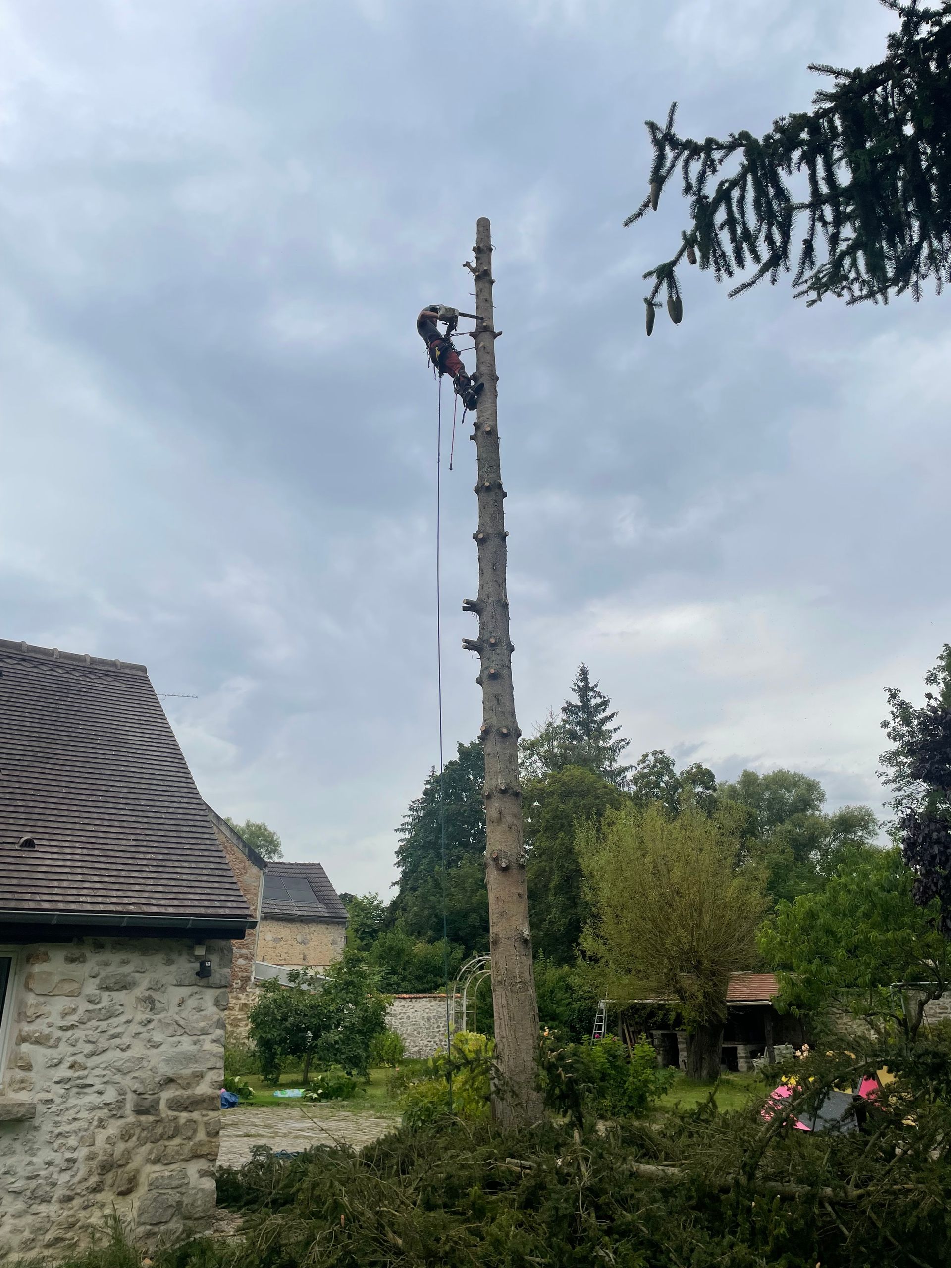 Un élagueur, perché sur sa plateforme, enlève les branches d'un grand arbre sous un ciel nuageux, près d'un bâtiment en pierre.