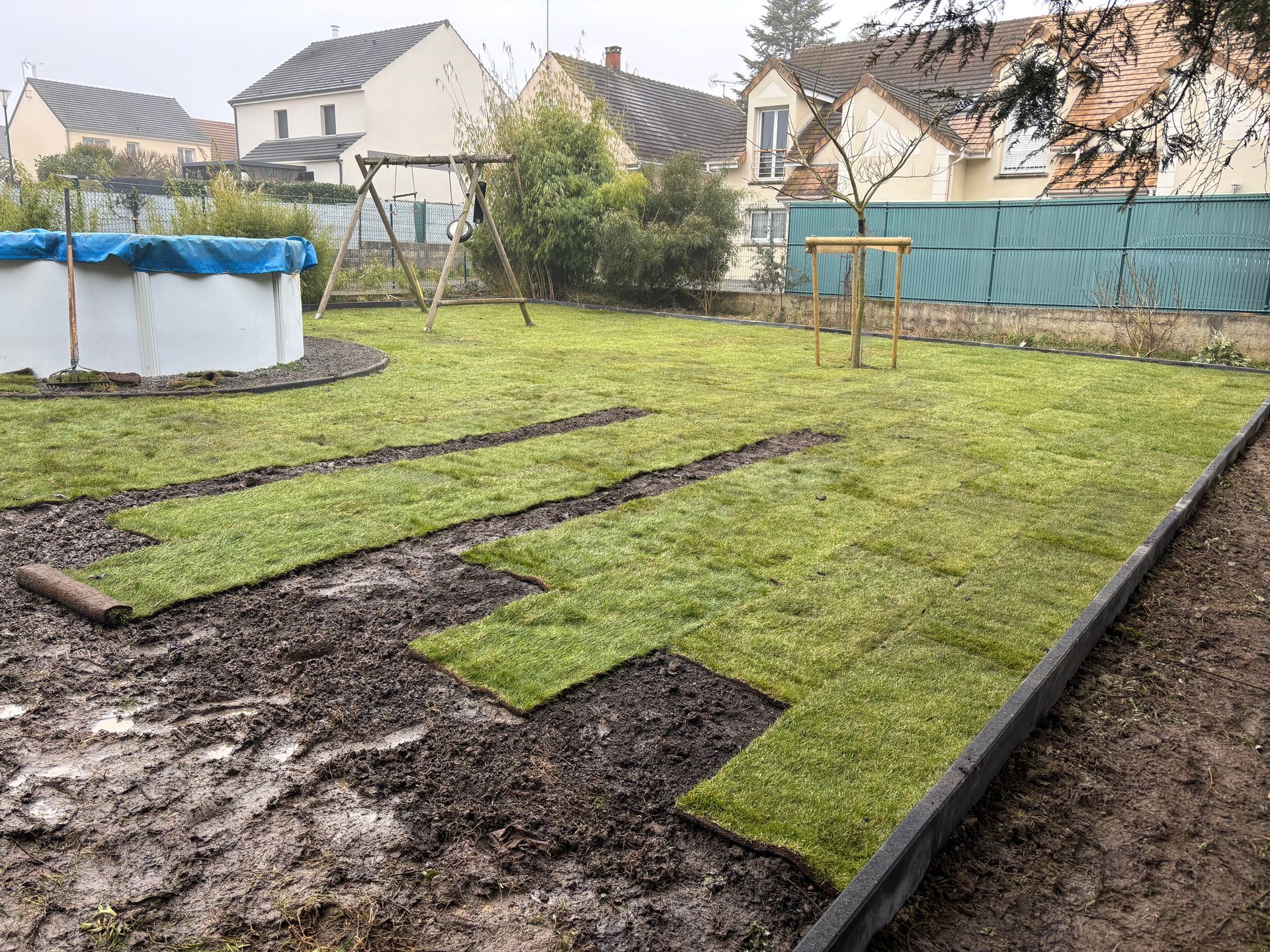 Pose de gazon en rouleaux dans un jardin ; des plaques d’herbe recouvrent un sol boueux, avec une piscine et des maisons en arrière-plan.