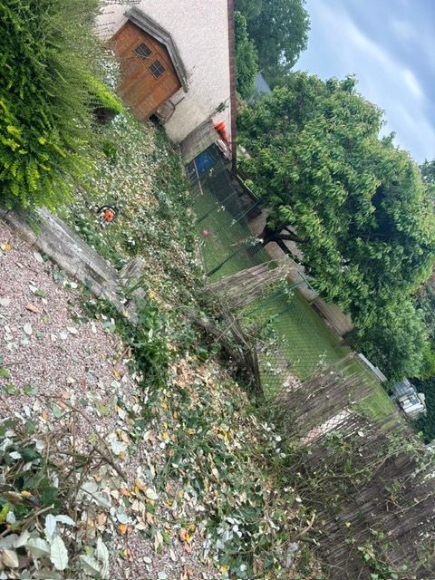 Débris provenant de la taille des buissons et des arbres près d'une maison avec un petit abri de jardin et une pelouse verte.