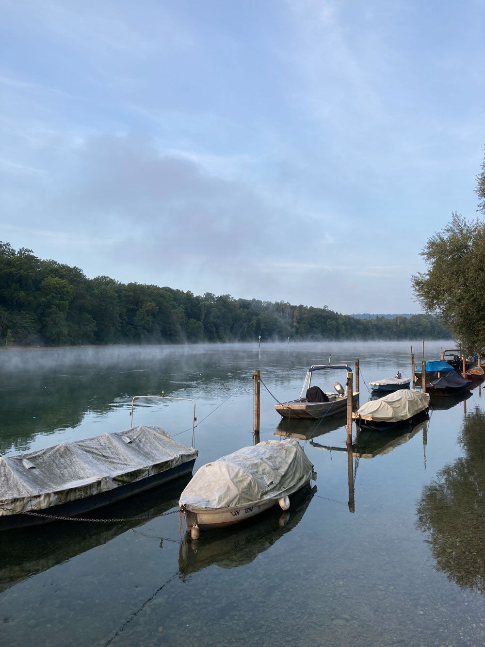 Eine Gruppe Boote liegt am Ufer eines Sees vor Anker.