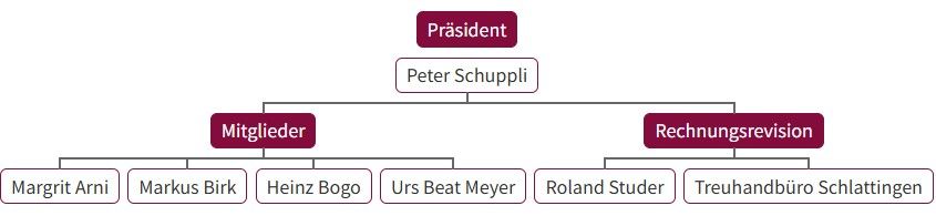 Strategische Organe der Stiftung