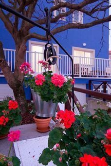 Un cubo de flores rojas cuelga de una cuerda frente a un edificio azul.