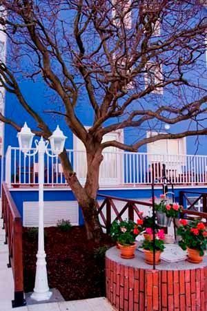 Una casa azul con un árbol y flores delante de ella.